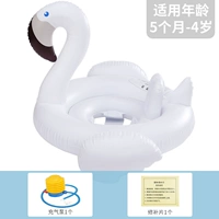 Firebird-White Model