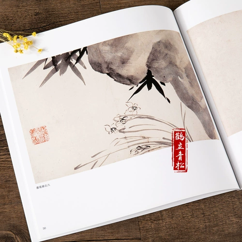 Китайская живопись Мастерская серия классических серий и Middot; Ba Dashan People/прошлые коллекции знаменитых коллекций альбомов китайских художественных работ