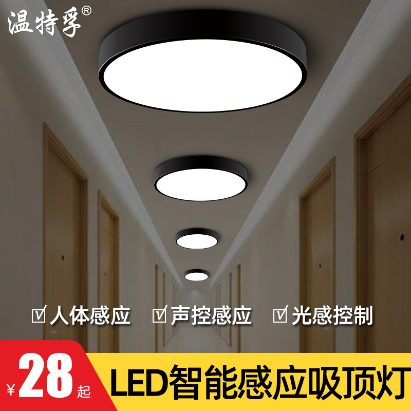 Winterful intelligent human body induction lamp stairs gangway sound control lamp Home corridor radar induction suction light