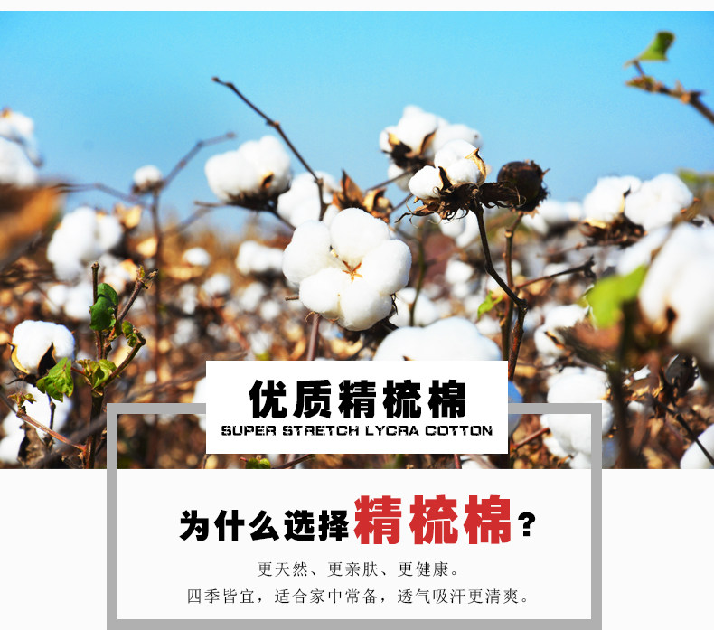 Chaussettes - collants G0050 - Ref 754783 Image 11