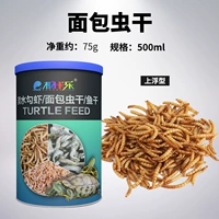 Ленточный червь