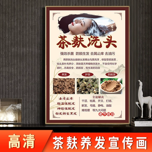 Чайные отруби питательская рекламная живопись китайская медицина Шампунь Цзян Терапия плакат навес