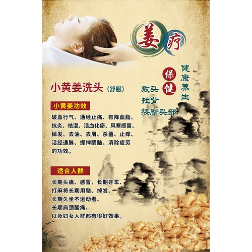 Чайные отруби питательская рекламная живопись китайская медицина Шампунь Цзян Терапия плакат навес