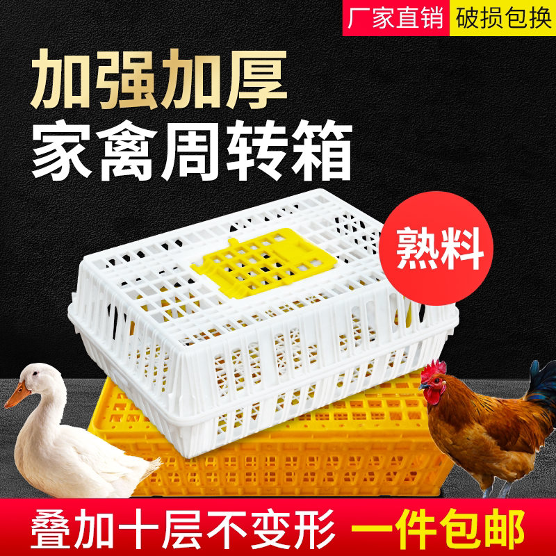 Chicken Coop Weekly Transfer Case Into Chicken Transport Cage Chickens Duck Goose Pigeon Poultry Transport Basket Domestic Thickened Plastic Chicken Cage Rabbit Cage