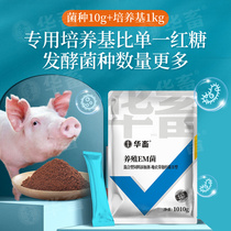 Chinese livestock breeding em bacteria fermentation raw bacteria bed bacteria em bacteria powder raw liquid Okara swill fertilizer leavening agent additive