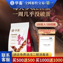 Two more baskets of eggs for Chinese animals two more baskets of eggs for poultry chickens ducks geese quails eggs a lot of egg production Ling vegetarian feed additives