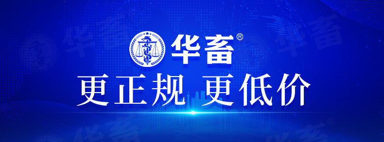 HUA ANHUAN EDITY-TIANDAO-RECOVERY_01.JPG