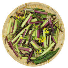 湖北特产红菜苔新鲜5斤洪山武汉包邮