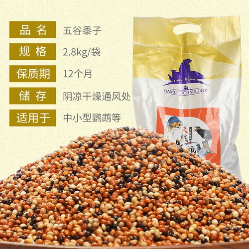 网牧 Tiger Parrot Birds Food Feed Five -Color Duzi Brewing Feed Deadia Mil Converse Mudan Peony Xuanfeng Bird Food