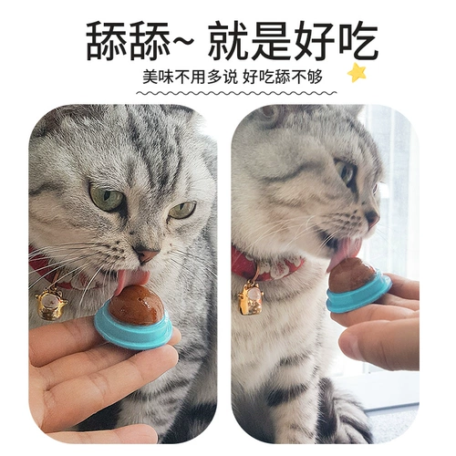 网牧 Кошачье сахар Douyin кот ледяной пат