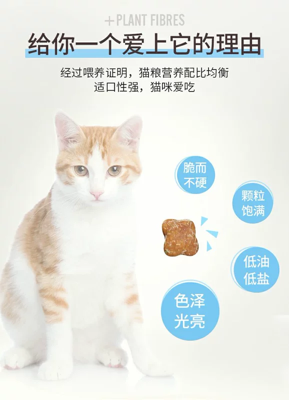 Giá đầy đủ vào thức ăn cho mèo thức ăn cho mèo - Cat Staples