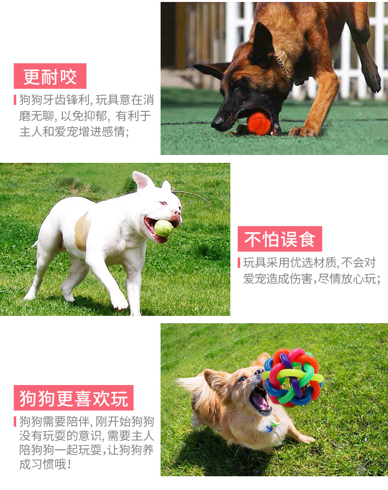 Chó đồ chơi bóng cắn răng chịu vocal đào tạo thú cưng mèo Teddy chó con chó con nhai vật nuôi la hét gà đồ chơi chó mèo