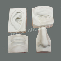 Five official plaster statue with real face section David Five official eye ear nose mouth plaster teaching aid fine art plaster statue