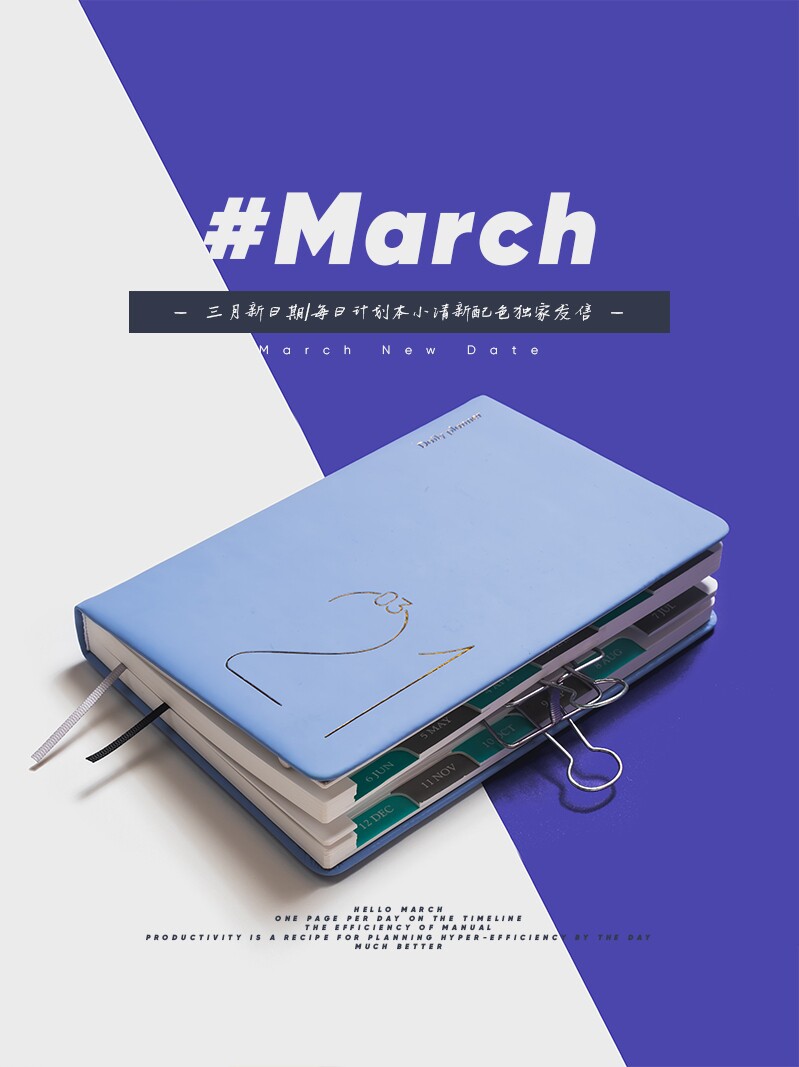 2021 calendar book 365 days a day A page timeline Notebook notepad Efficiency management manual Work graduate school schedule Hand account punch card calendar Custom March daily plan book