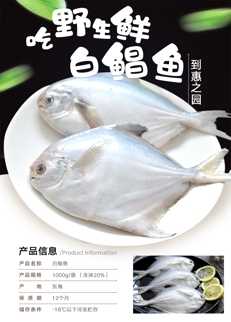 【顺丰包邮】东海深海白鲳鱼共1000g