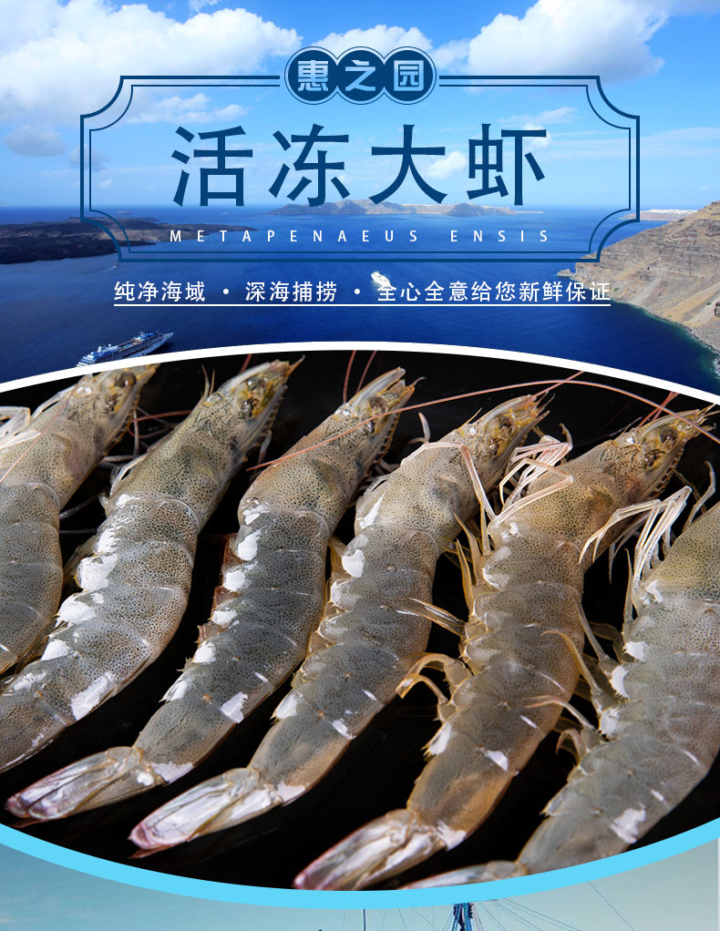 惠之园食品 青岛新鲜海捕活冻大虾 净重1400g 天猫优惠券折后￥69包邮（￥89-20）