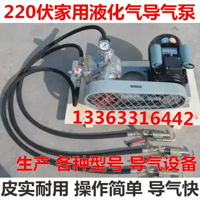 220v liquefied gas pump air guide pump 48v car inverted air pump air pump Inflatable tube gas high pressure pump propane pump