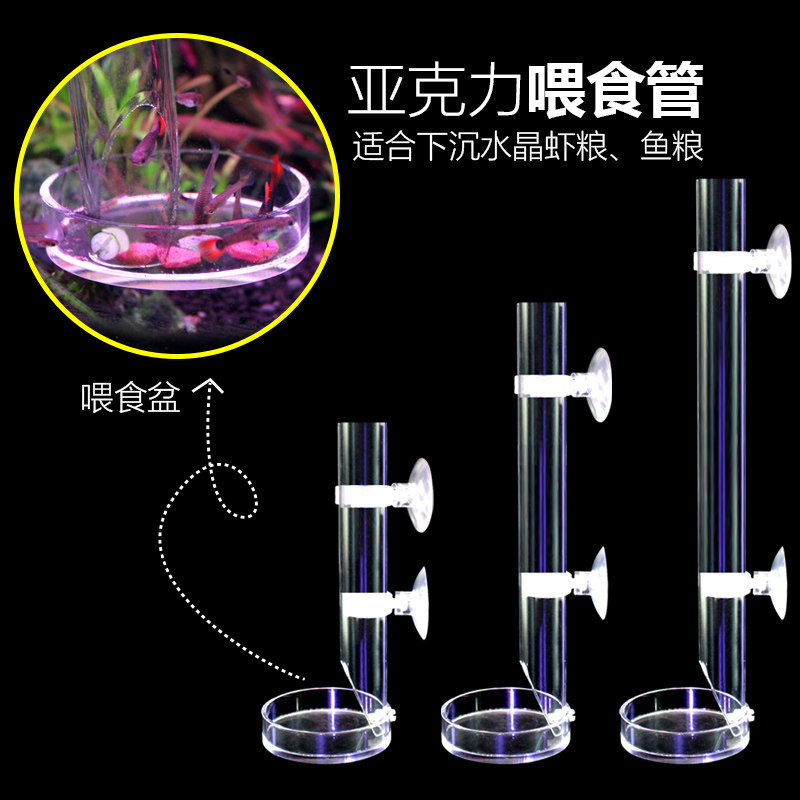 Crystal shrimp feeding esophageal benthic small fish sinking feed Acrylic feeding esophageal feeding basin Feeding esophageal shrimp basin
