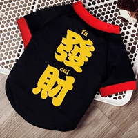 Служба удачи (осень и зима плюс бархат)