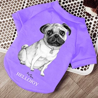 Brand Brand Brand Blught (осень и зима плюс бархат)