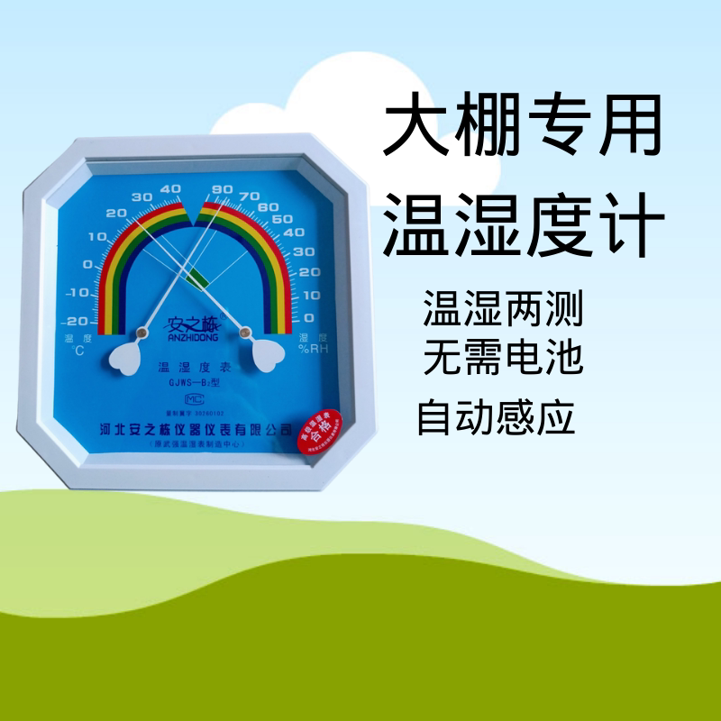 Greenhouse thermometer and hygrometer warehouse thermometer hygrometer pharmacy hanging indoor greenhouse table square thermometer