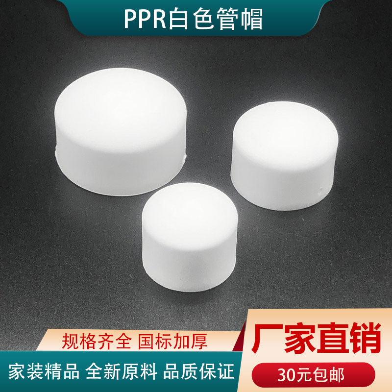 PPR hot melt pipe cap 20 25 32 40 50 63 75 90 110 choke plug pipe fitting cover 4 water pipe fittings