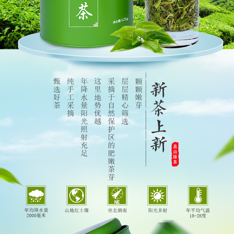 高山云雾绿茶散装礼盒罐装500g