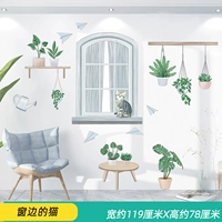 1 кошка рядом с окном