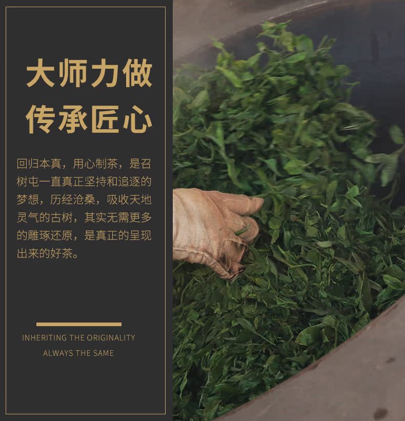 召树屯普洱茶熟茶饼糯米香