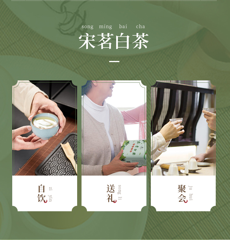 宋茗2021年新茶安吉白茶100g