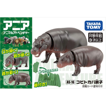 Tomyyykanlia wildlife model simulation childrens cognitive boy toy Japanese hippo 125334