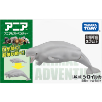 TOMY Domeca Anglia marine animal model simulation children cognitive male and female childrens toy Beluga 836605