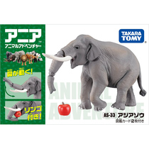 TOMY Amelia Wildlife model simulation Children Cognitive BOY toy ASIAN Elephant 981503