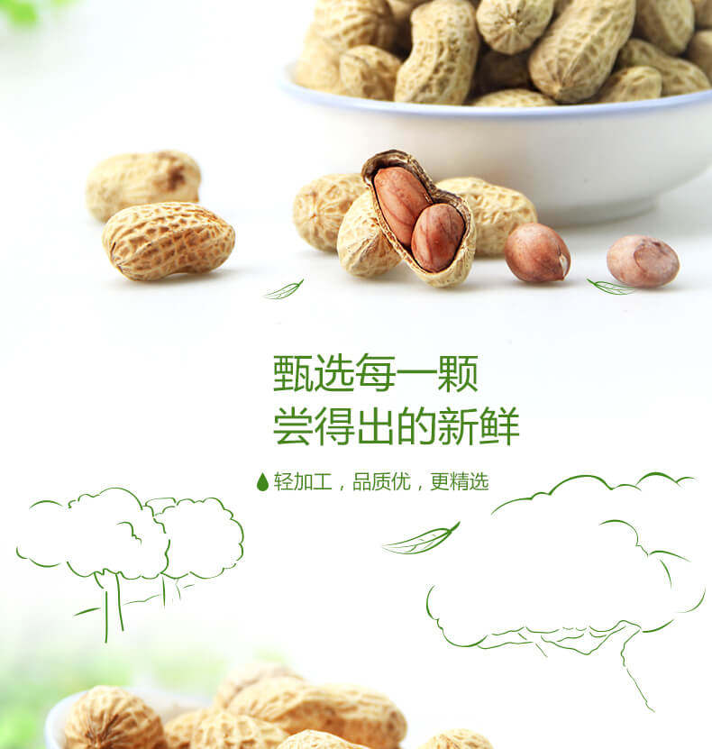 哈蜜  带壳红皮蒜香花生 500g*2件 图6