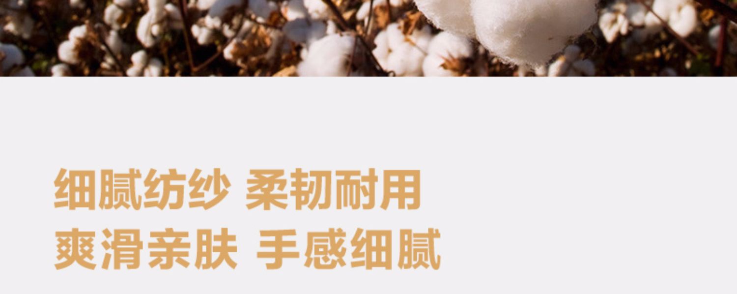 Giường cotton ở Nam Cực Khăn trải giường bằng vải bông đơn mảnh 1,5 m 1,8 nệm Simmons bảo vệ - Trang bị Covers ga trải giường chun đẹp	