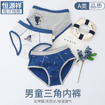 Hengyuan Xiang Childrens Underpants Boys among BoysBoys Fat-Breathable Students Great Boy Pure Cotton Triangular Shorts