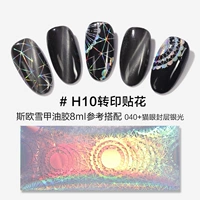 H10