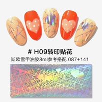 H09