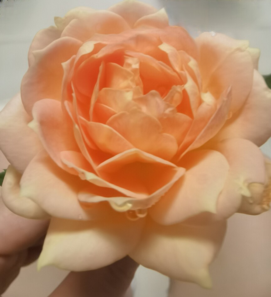 欧韩精品时装