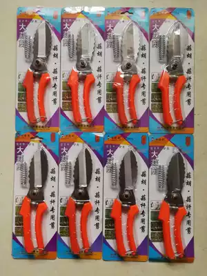 Garlic scissors Garlic scissors Garlic scissors Garlic scissors Garlic scissors Garlic scissors Garlic tools Dingdeli scissors new