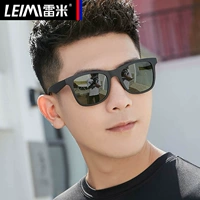 Песчаная черная рама чернила зеленый поляризатор