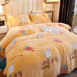 冬季必备！【加厚保暖】秋冬加厚珊瑚绒毛毯