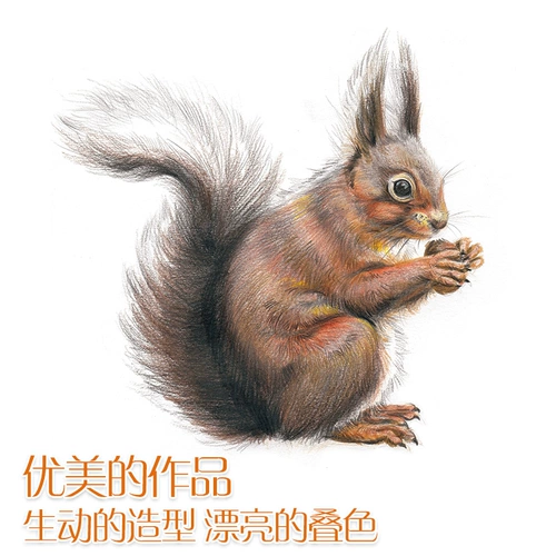 Редактор -in -chief of Yang Jianfei, основной учебник по цвету лидерство; Wu Shengwei, Tan Lu отредактировал искусство и ремесла (новое) искусство Синьхуа Книжный магазин Тибетские книги Китайский книжный магазин издательство