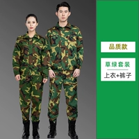 Качественный модельный Grass Green