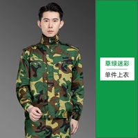 Одиночный топ-зеленый