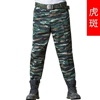 Табби штаны