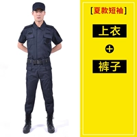 Сетка короткий костюм [верхний+брюки]