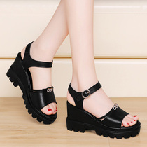 Leather Sandals Womens 2021 New Summer Joker Comfortable Middle-aged Mother Shoes Songcake Thick Base Cowhide Plus Size Womens Shoes