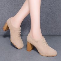 Nude high heels womens thick heel shoes 2021 new spring wild autumn shoes frosted suede deep mouth turned fur shoes