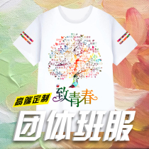 Classmate reunion T-shirts custom graduation class clothes diy classmates cultural shirts customized advertising work clothes printing LOGO